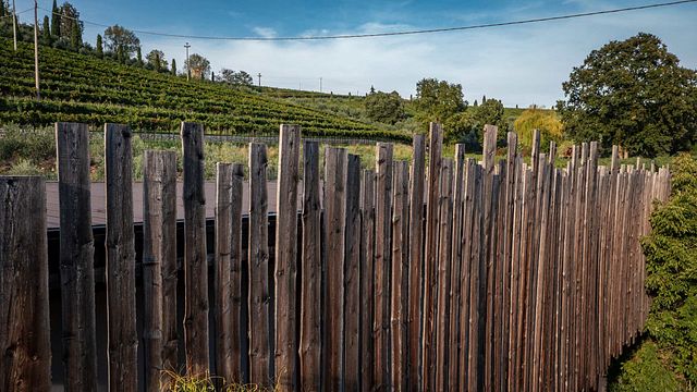 Valpolicella : visite d'un domaine viticole biologique et dégustation de vins chez Roccolo Callisto