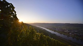 Degustação de vinhos e tour em Weingut Jakoby-Mathy
