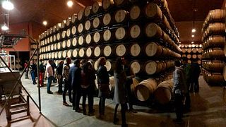 Bodegas Fernández De Piérola