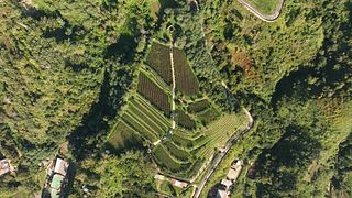 Experience Local Italian Wines on a Volcanic Tour