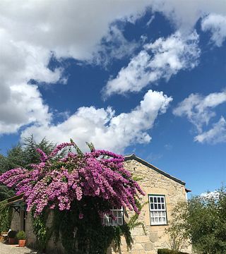 Weinguttour und Weinprobe | Quinta da Portela de Baixo