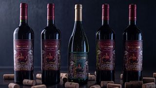 Degustación tradicional en Bodega Iaccarini