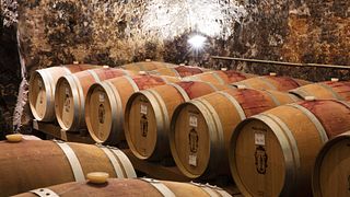 Santa Sofia Winery