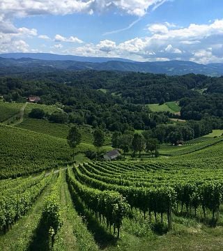 Weingut Tement