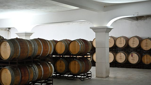 Prova Encosta na Encosta do Sobral - Sociedade Agrícola SA