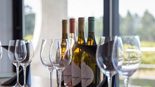 Cata de vinos y tour en Quinta De Santiago