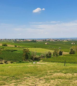 Beliebte Weinprobe und Tour bei Mossi 1558