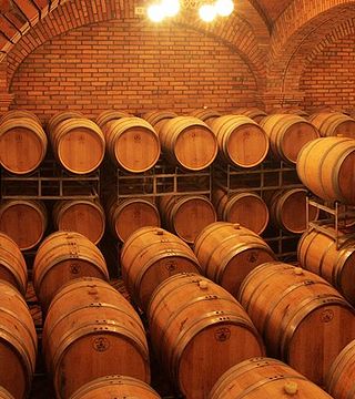 Família Salton Winery