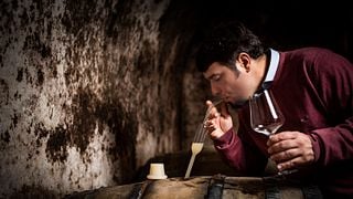 Balaton Vineyard Journey at Barcza Winery
