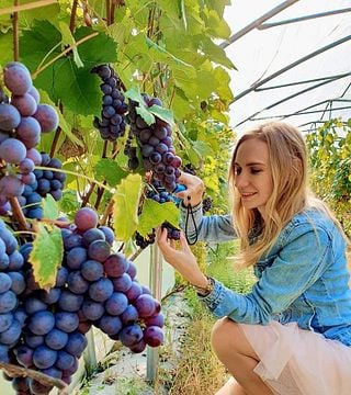 Veinimäe Winery
