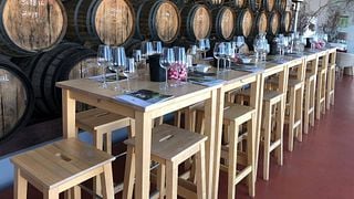 Prova de Terroir na Quinta Do Piloto
