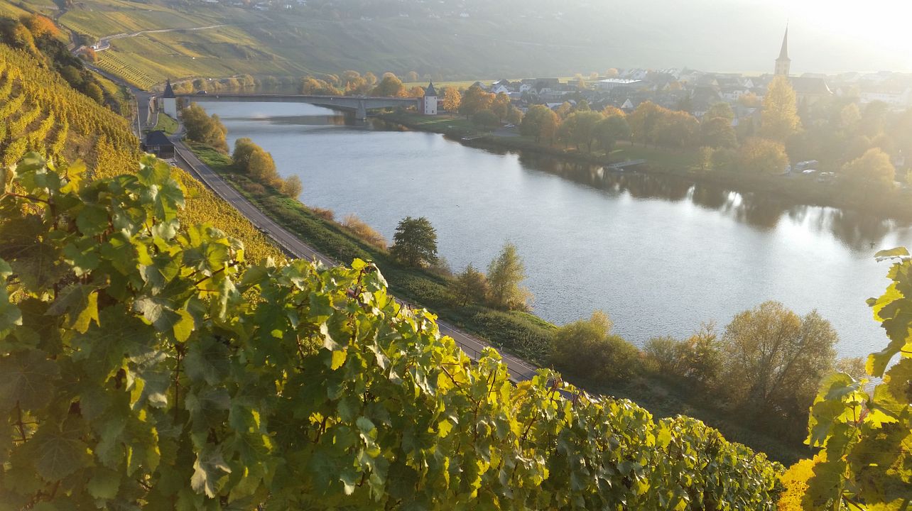 Weingut Eifel-Pfeiffer