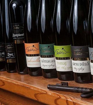 Wine Tasting at Borbély Családi Pincészet Kft.