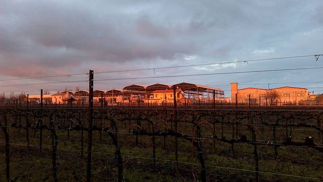 Azienda Agricola Fiorotto