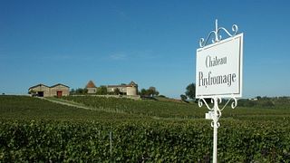 Vinprovning och rundtur på Château Puyfromage