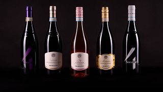 Visita guiada e degustação de "O Monferrato" na vinícola Bersano