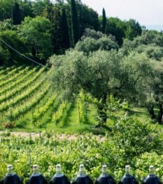 Domaine Des Hautes Collines De La Côte D'Azur