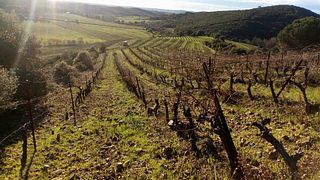 Languedoc-Roussillon: Eco Wine Tasting at Off-Grid Sarabande