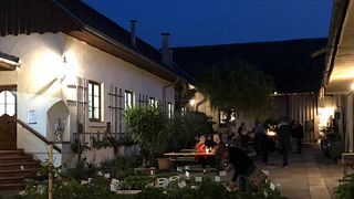 Degustação de vinhos e tour em Wimmer Czerny
