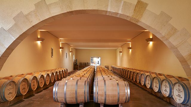 Visita guidata alla scoperta del castello Haut Breton Larigaudière