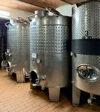 Savor 5 Organic Tuscan Wines with Pasta Lunch
