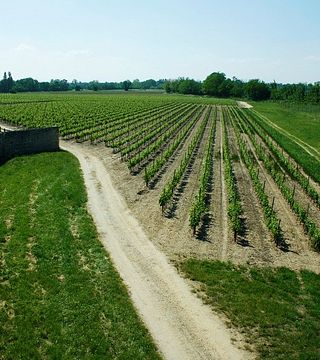 Tour de vinhos Bordeaux VS Rioja