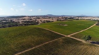 Best's Wines Great Western