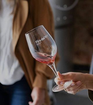 Wine Tasting and Tour en Tierras de Vidalba - Doq Priorat