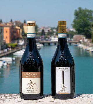 Cata de vinos y visita guiada en Le Morette Di Valerio Zenato