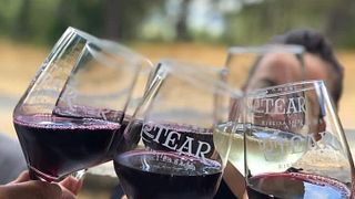 Beliebte Weinprobe bei Adega Tear