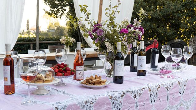 "Youth Afternoon" Wine Tasting at Casa Lucii