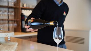 Explore Veneto Prosecco Vineyards & Scenic Tasting