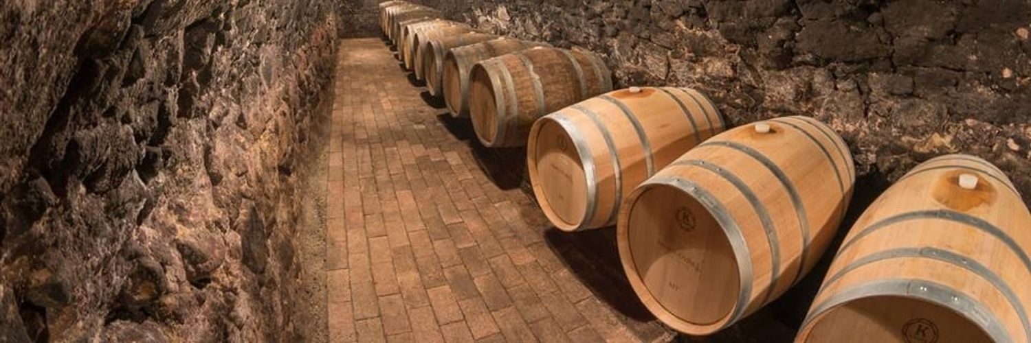hímesudvar-barrel cellar