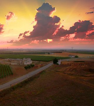 Degustação de vinhos com aperitivos e visita à vinícola na Cantine Paolo Leo