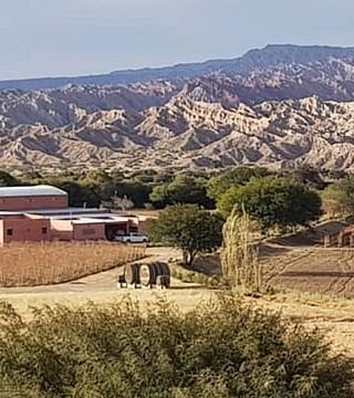 Degustazione di vini alla Bodega El Cese