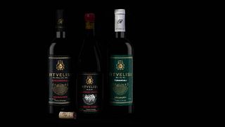 Dégustation de vins et visite à Rtvelisi