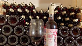 Kartli Wine Journey: Tasting & Cellar Tour