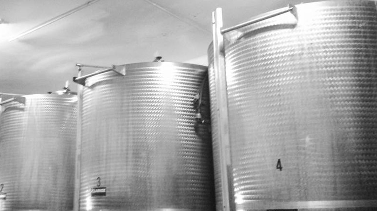 Degustação de vinhos na vinícola Le Radici del Tempo