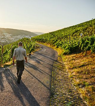 Weinprobe und Führung im Weingut Witwe Dr. H. Thanisch, Erben Müller-Burggraef