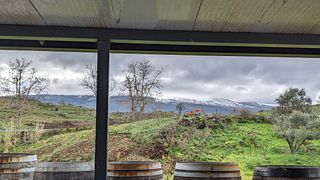 Sicily's Volcanic Vineyard Tour & Tasting