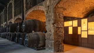 Wine Tasting at Burmester Wine Cellar