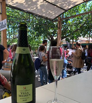 Degustazione di vini e tour presso Unión Vinícola Del Este