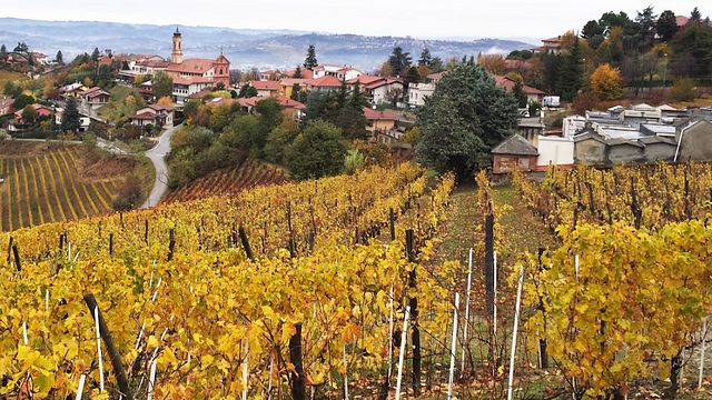 Learn Piedmont Wine Secrets with a Sommelier Tasting