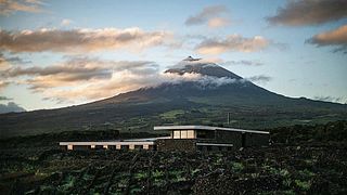 Cata de vinos - Sal y especias | Azores Wine Company