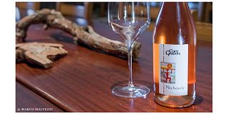 Weinprobe und Führung im Corte Gradoni