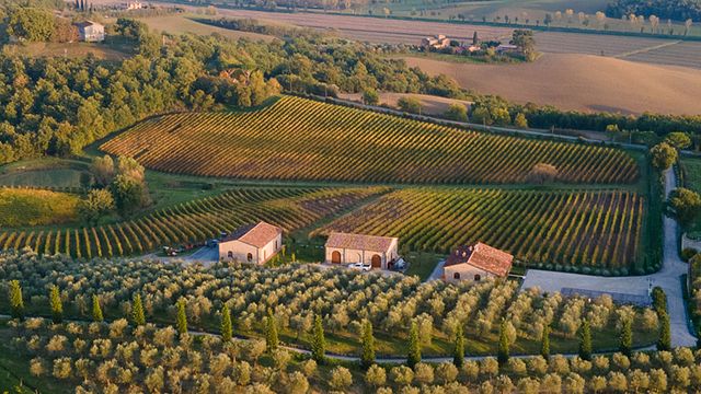 Poggio del Moro Boutique Winery