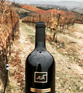 Fattoria Gaglierano
