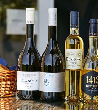 Weinprobe und Besichtigung in Disznókő
