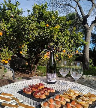 Besuchen Sie Healthy in der Vila Morgades