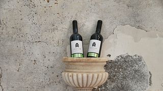 Dégustation de vins et visite avec un œnologue chez Azamor Wines